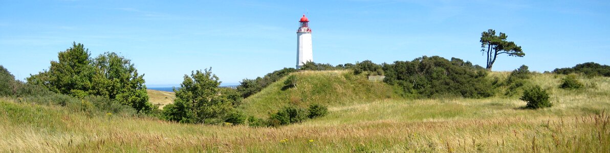 The island of hiddensee lighthouse thorn bush photo