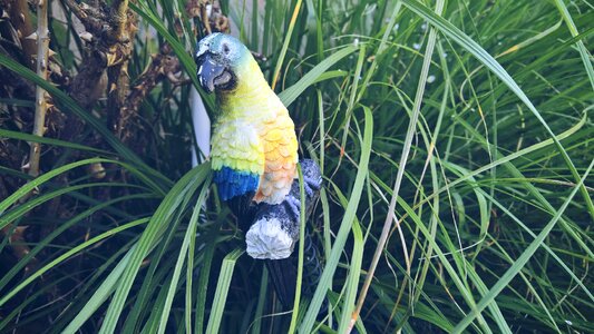 Edited nature hobby gardener