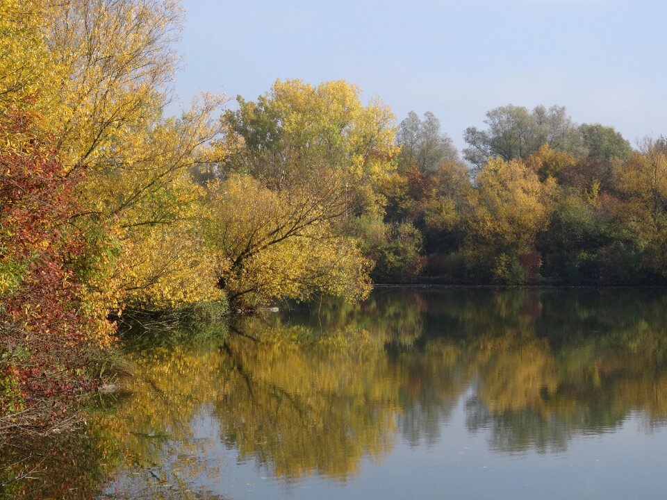 Altbach age neckararm autumn