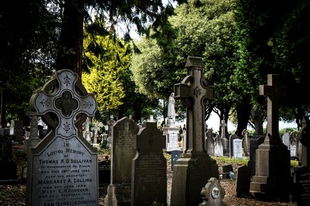 Cemetery cross celtic