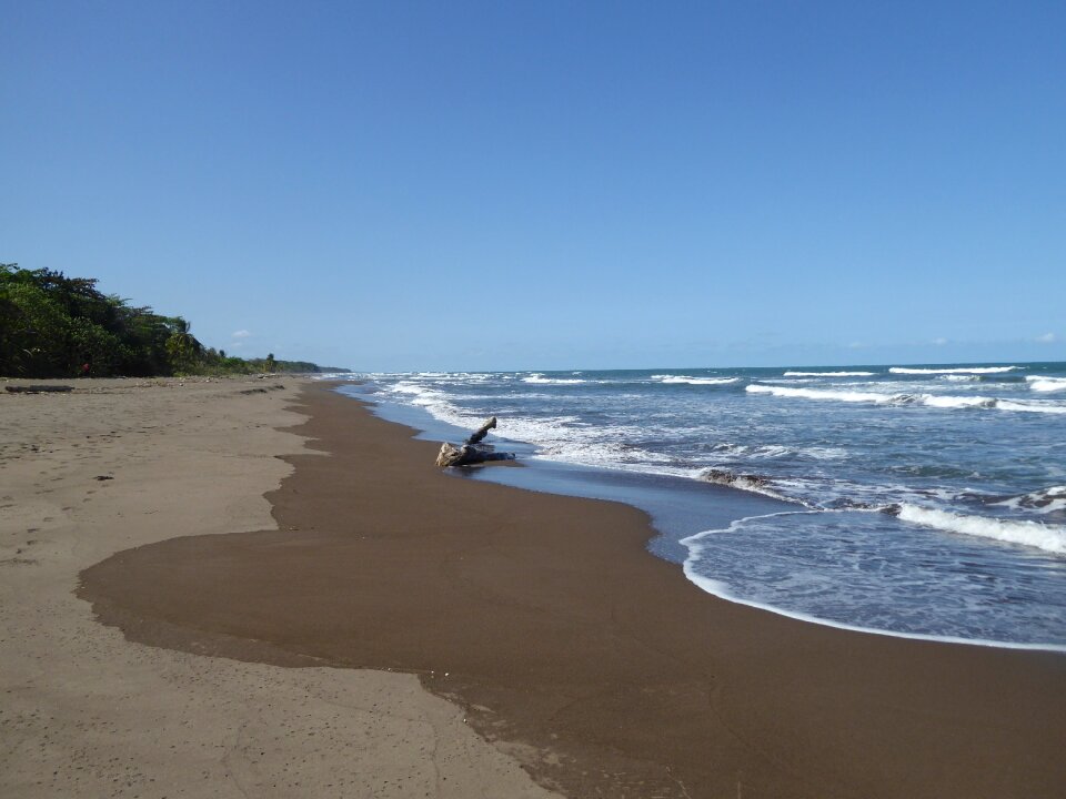 Beach tortuguero national park water