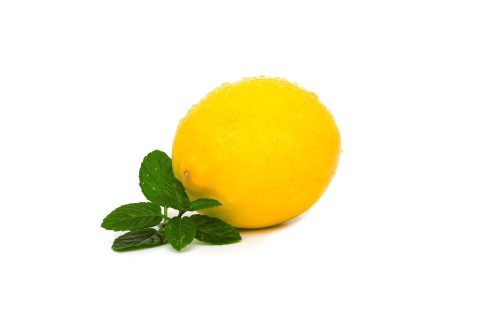 Food leaf health
