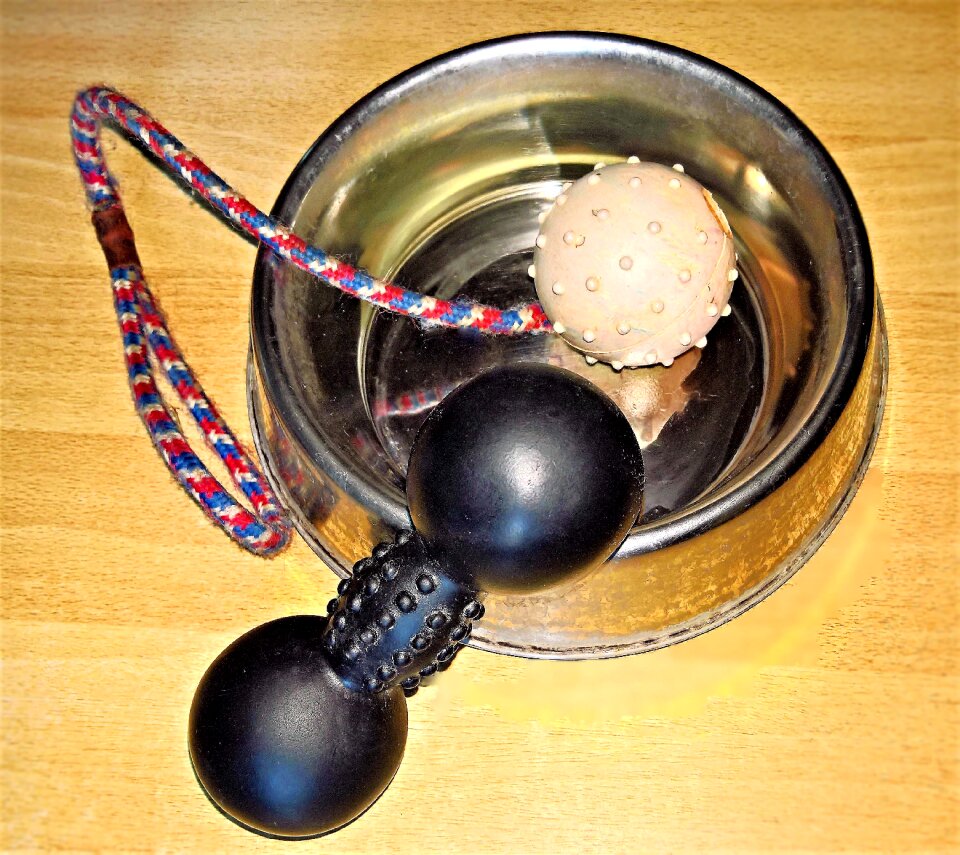 Fressnapf water bowl squeak bone