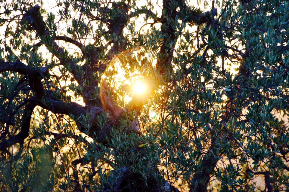 Abendstimmung sun vacations