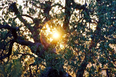 Abendstimmung sun vacations