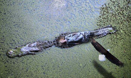 Sea lake crocodile photo