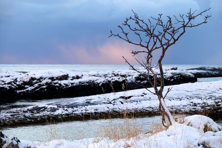 Cold weather ice
