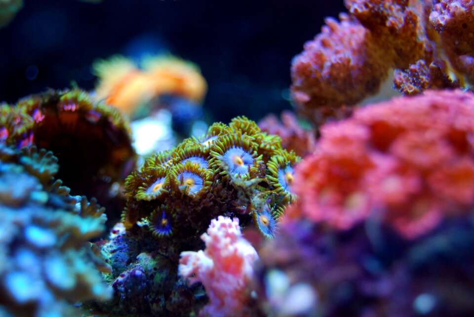 Water underwater marine