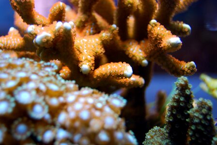 Ocean natural wild