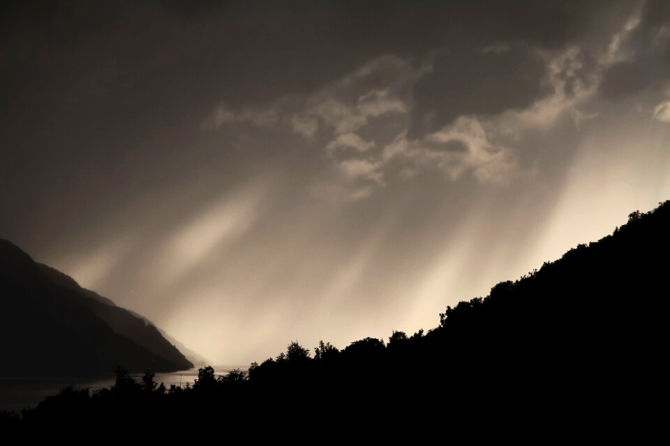 Trees silhouette clouds