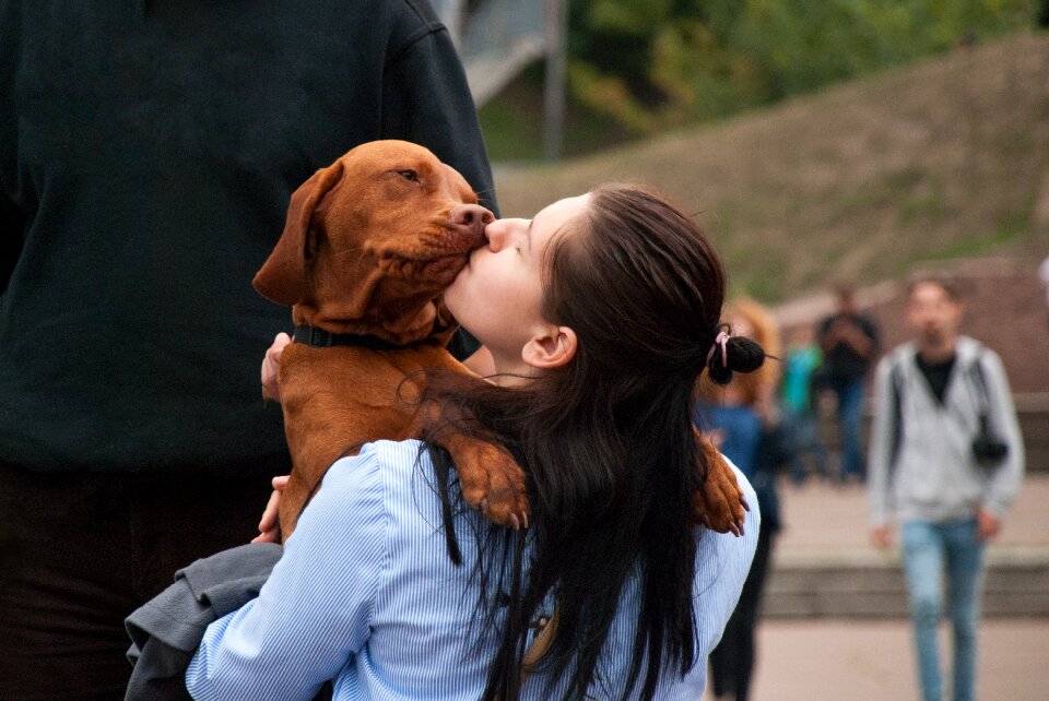 People animals happiness