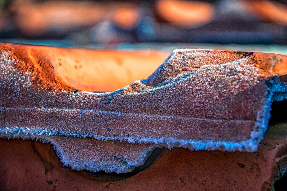 A close up food