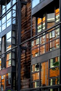 Glass wood reflection
