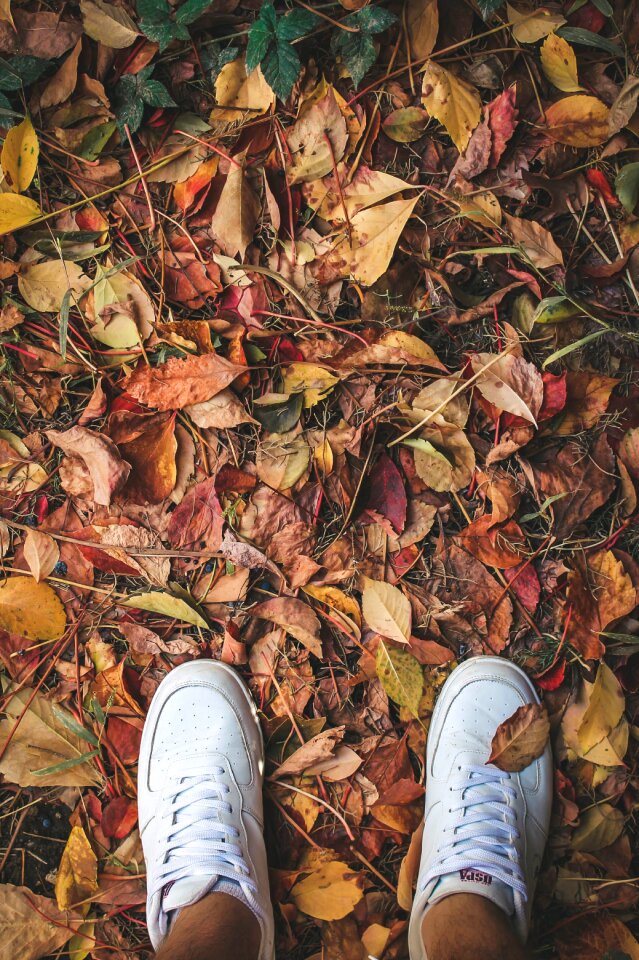 Nature current season dry