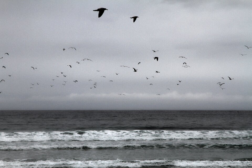 Ocean sea beach