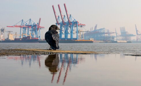 Autumn port water photo