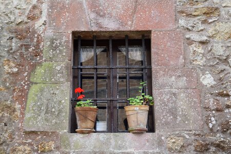 Flower house old