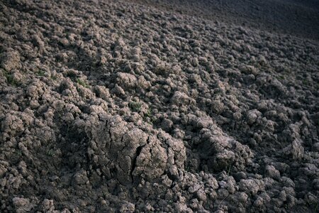 Sods agriculture landscape