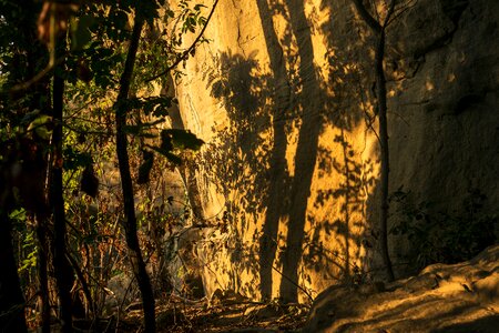 Leaf sandstone yellow