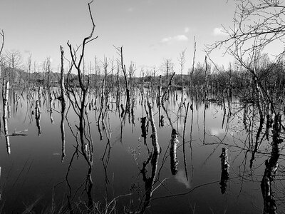Landscape weird lonely