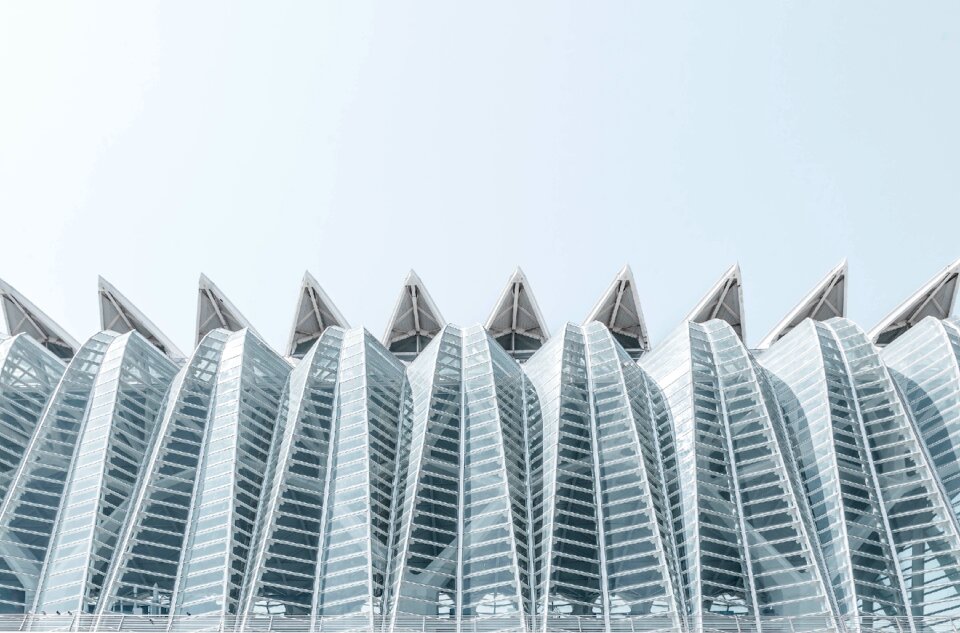 Modern lines curves
