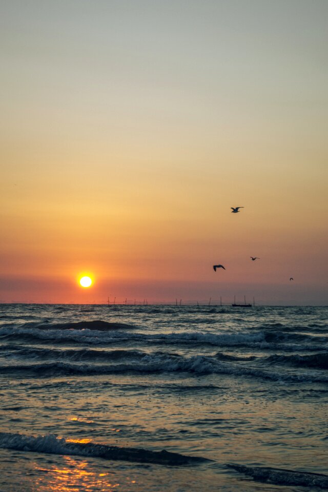 Sea sunset water