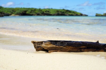 Driftwood blue sky blue sea