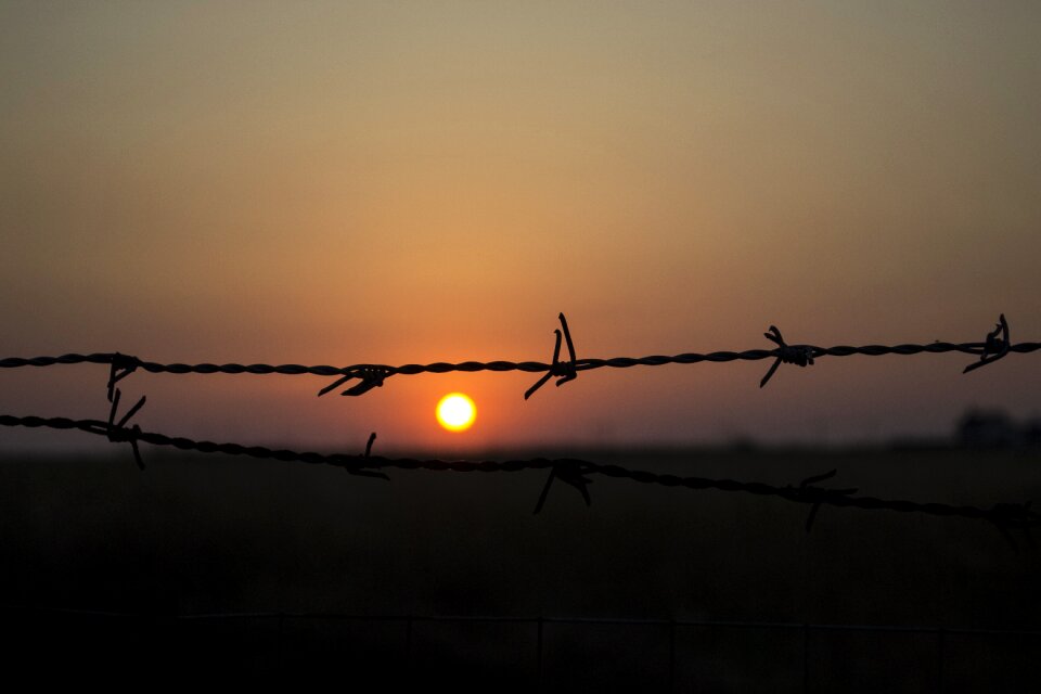 Dramatic cage metal