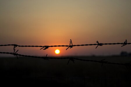 Dramatic cage metal