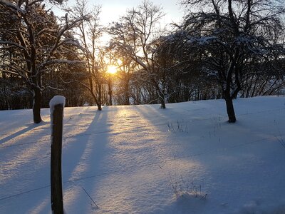 Setting sun wintry