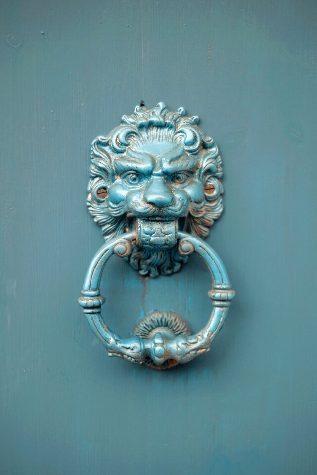Lion door wood