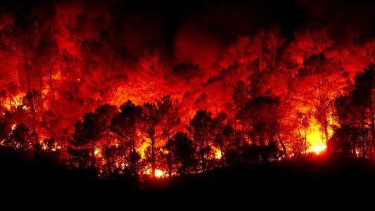 Forest fires fire hell