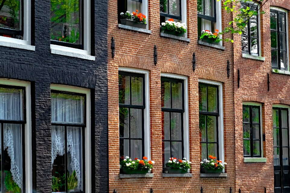 Painted brick flowers architecture