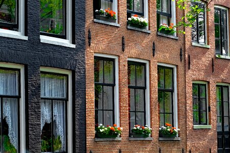 Painted brick flowers architecture photo