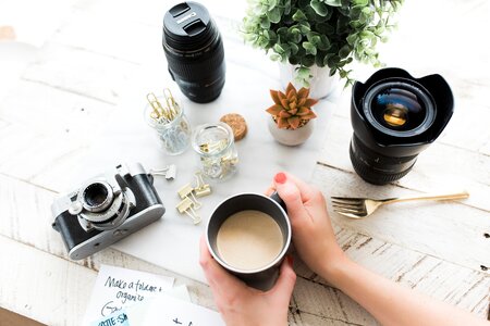 Photography table plant