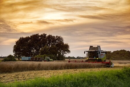 Cereals summer tractor photo
