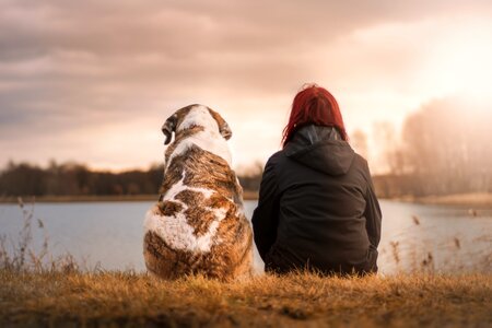 Woman suit sunset human