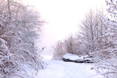 Freezing frozen frost photo