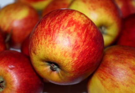 Juicy health nutritionist