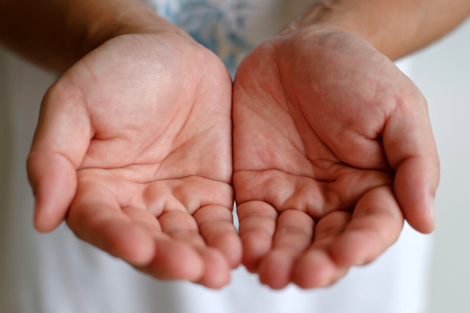 Hand palmistry hands