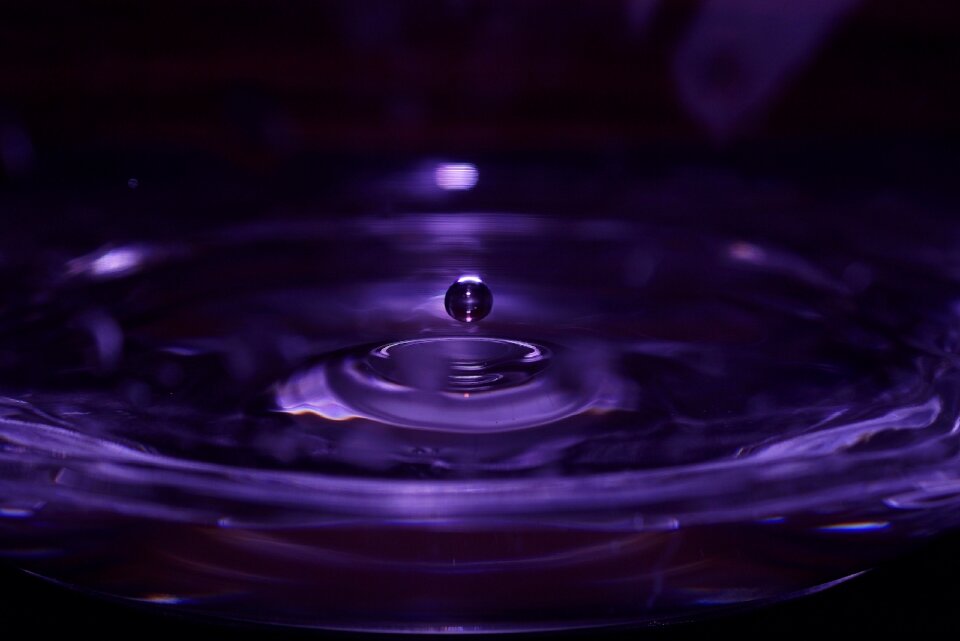 Drop droplet lilac water