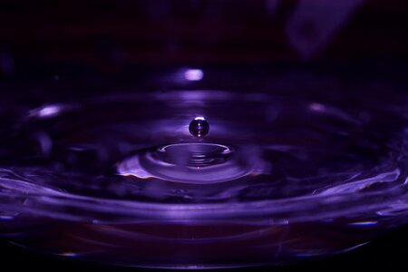 Drop droplet lilac water photo