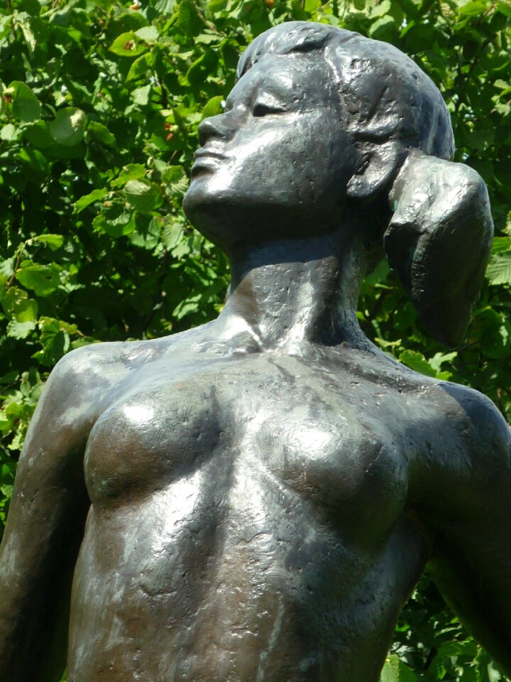 Attractive free upper body