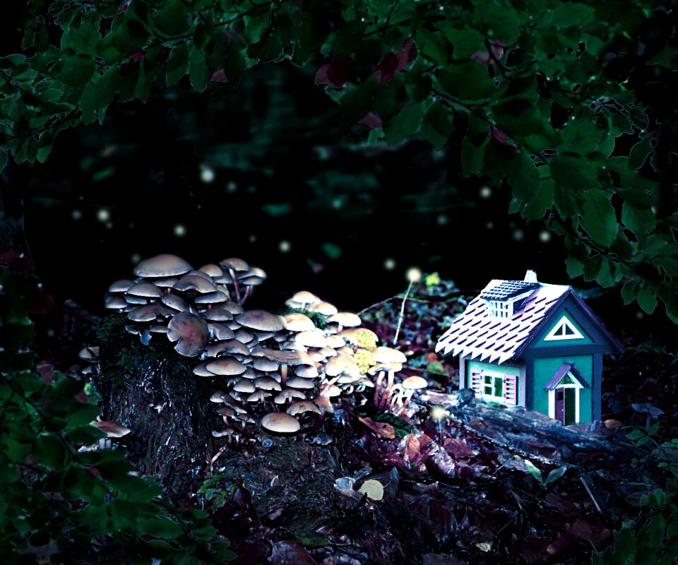 Fairytale hour mushroom atmosphere