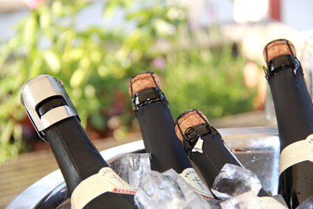 Champagne alcohol pleasure