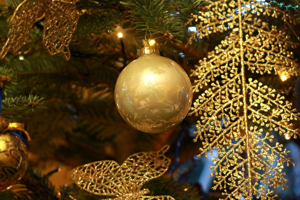 Decoration gold fir