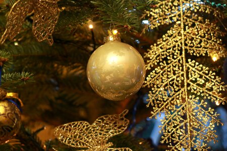 Decoration gold fir