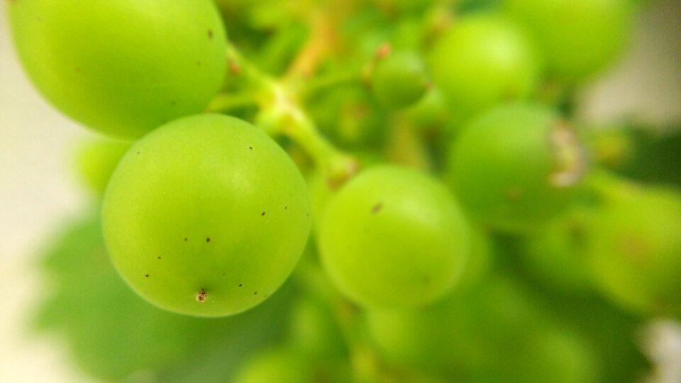Fruit food green grape