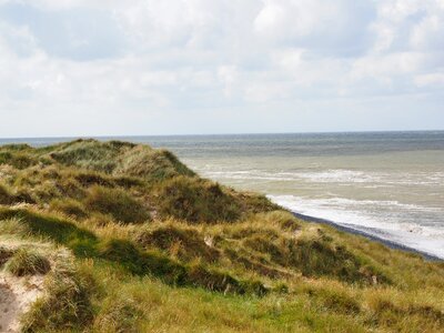 Marram grass sea water