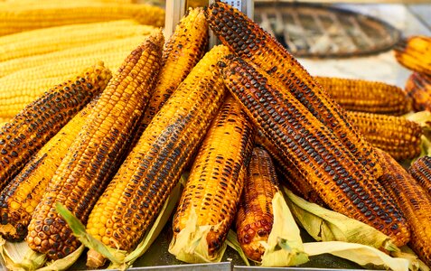 Grill yellow roasted